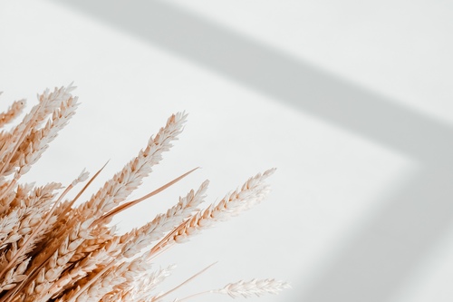 Eric Robert